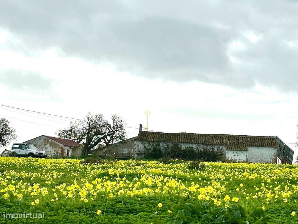 Terreno com ruína, vista mar junto ao Golfe, em Lagos/Algarve - Grande imagem: 5/14