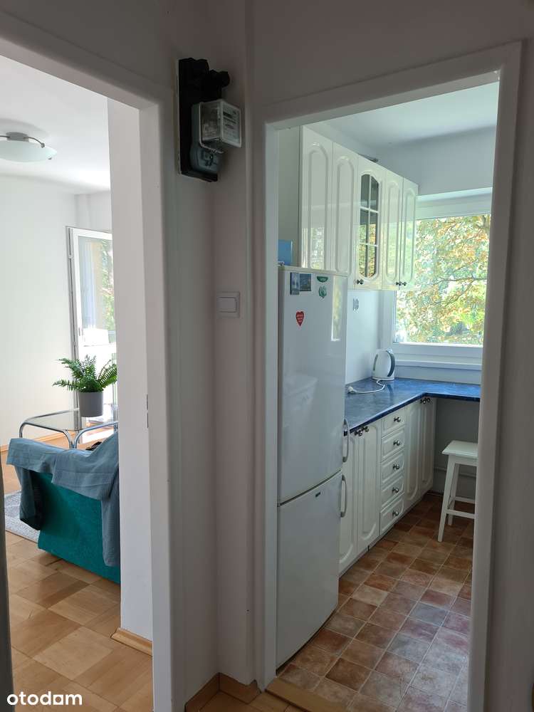 2 pok 37 m.kw Sulmierzycka, dobra inwestycja - Pełny obrazek: 5/12