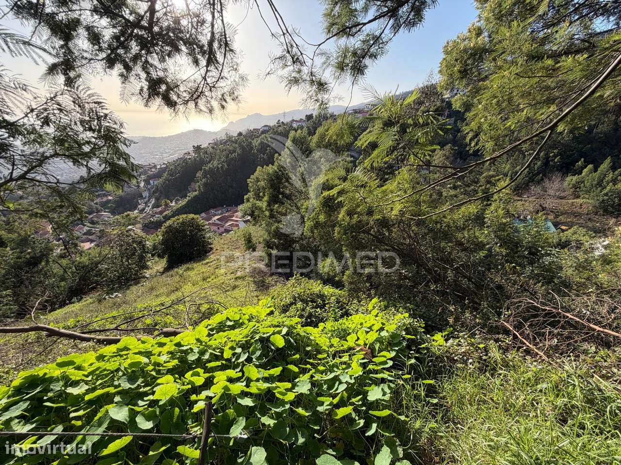 Terreno  para um projeto de Turismo Rural, bangalôs. - Grande imagem: 4/17