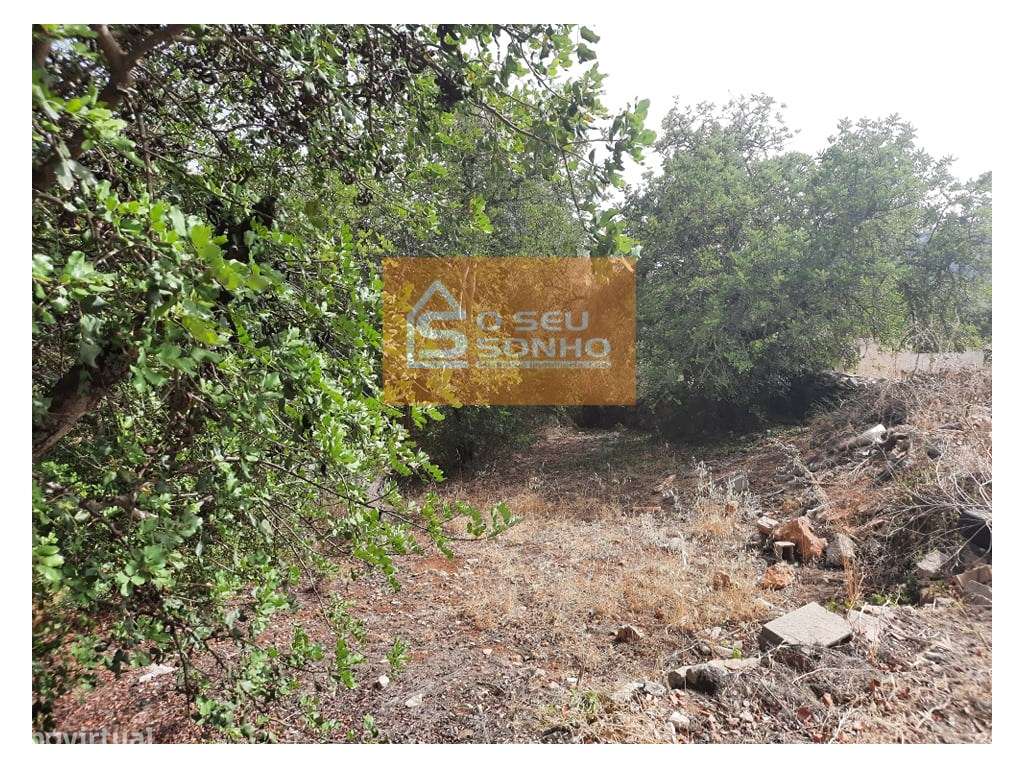 Terreno Rústico nos Machados - Grande imagem: 5/6