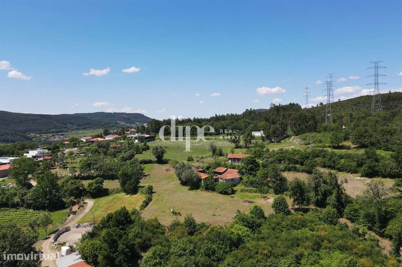 Quinta para restauro com 65.000 m2 - Grande imagem: 5/12