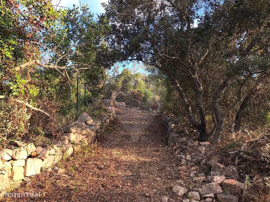 Terreno  para venda-0