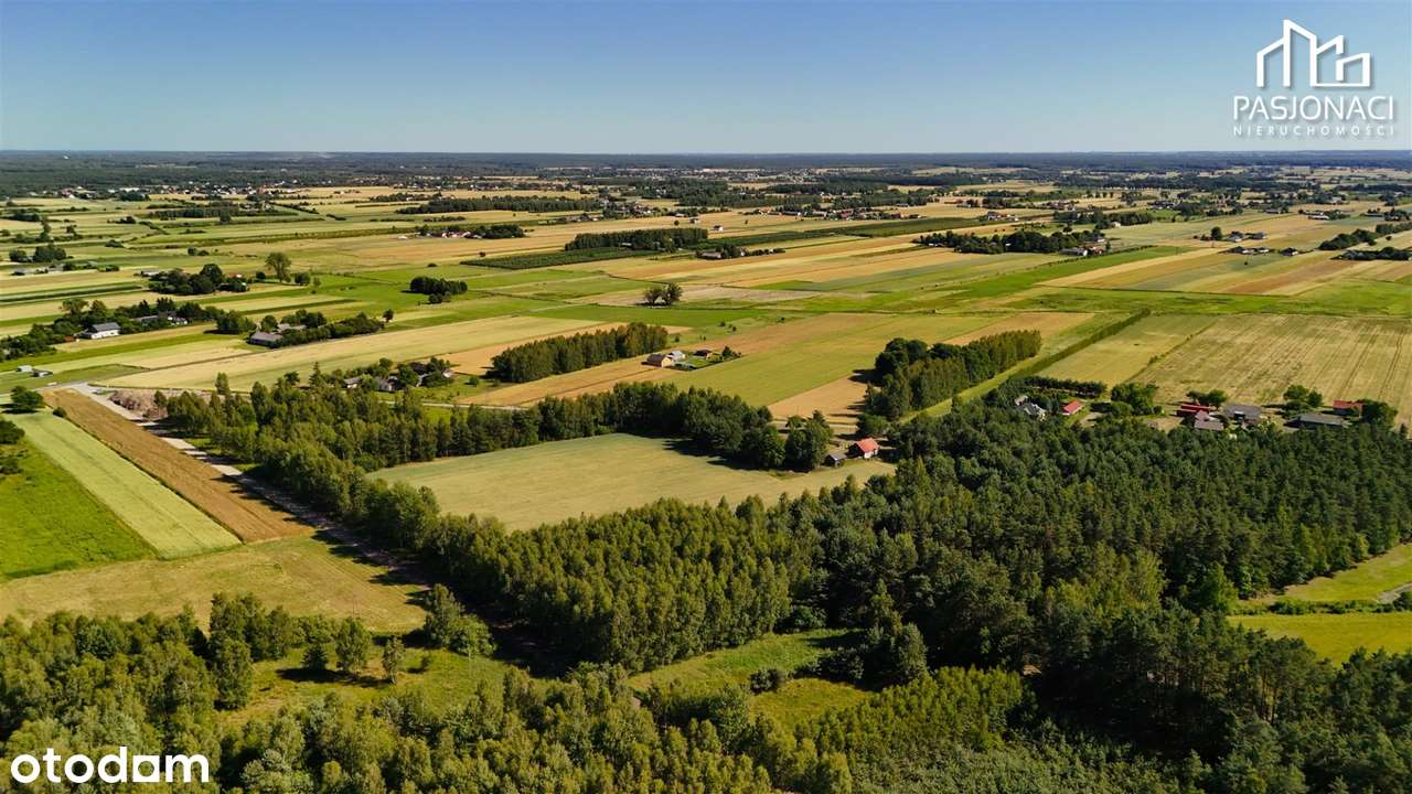 Doskonała lokalizacja z możliwością budowy osiedl - Pełny obrazek: 4/9