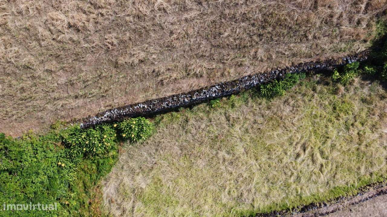 Terreno em Santo Amaro (PIco)-15