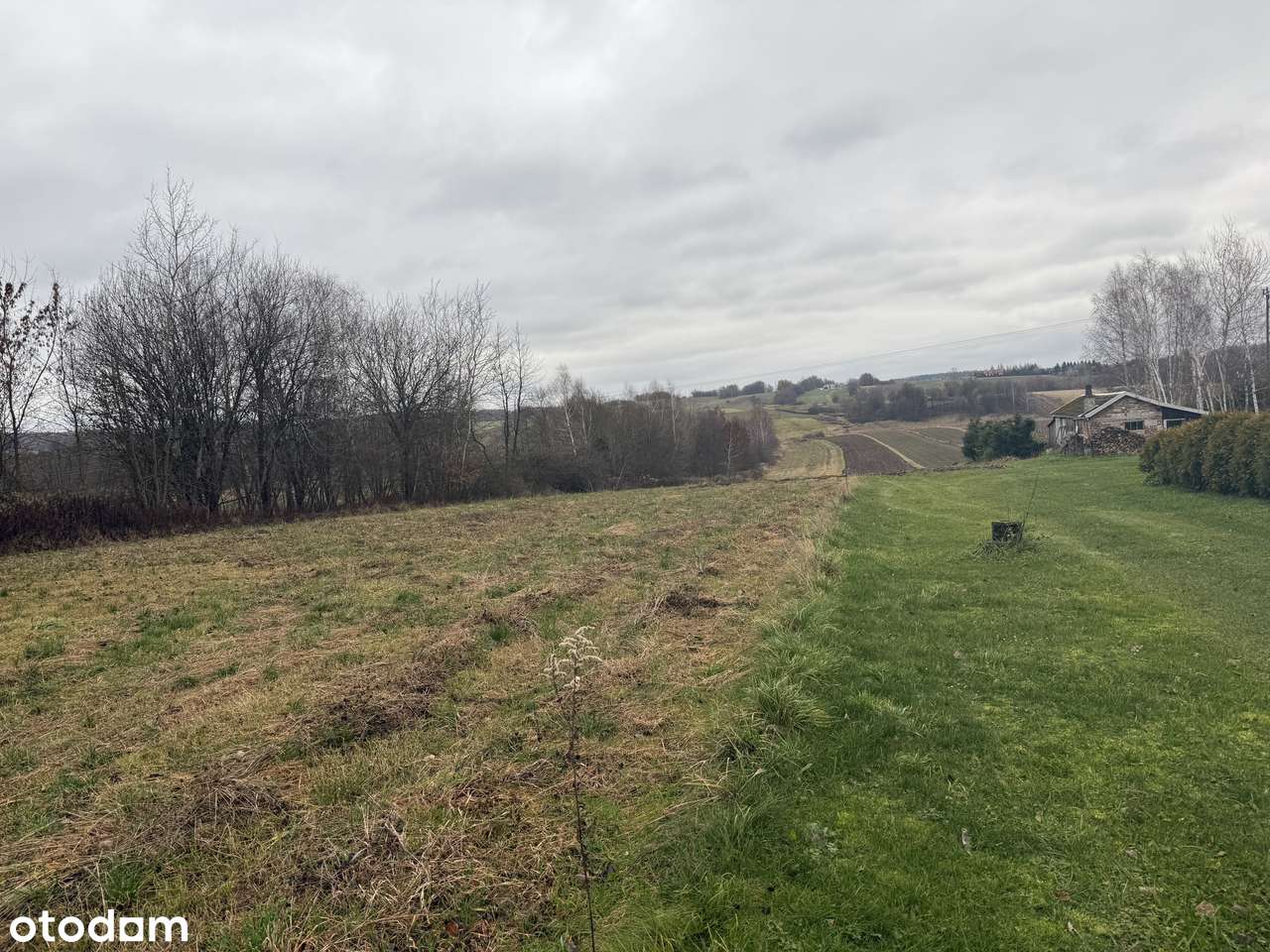 Działka budowlano- rolna z WZ uzbrojona - Pełny obrazek: 4/8