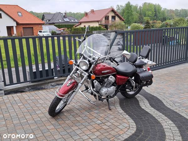 Honda Shadow - 14