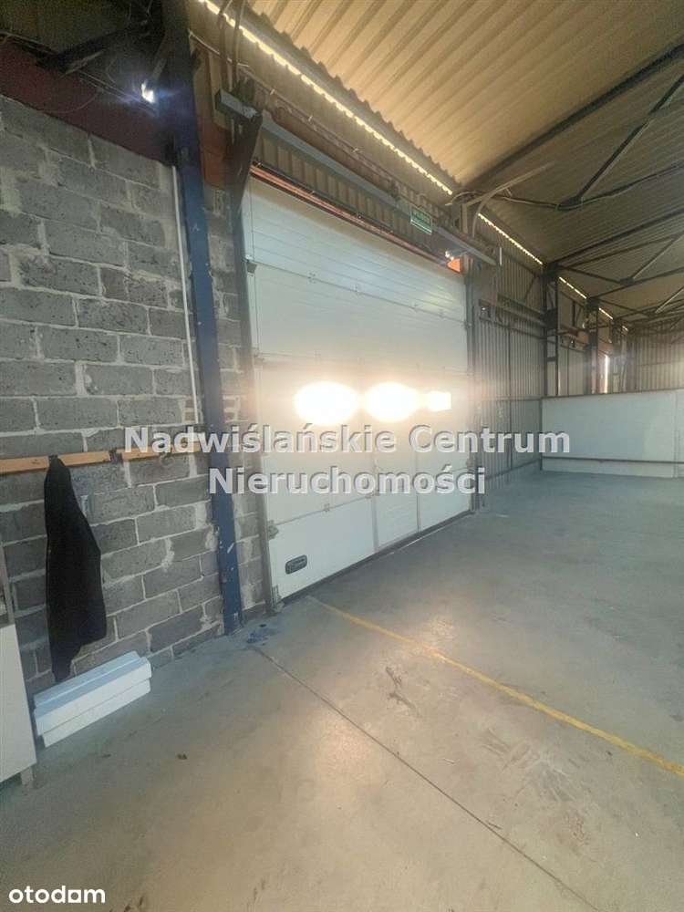 Hala Mgazaynowa z duzym placem - Pełny obrazek: 5/5