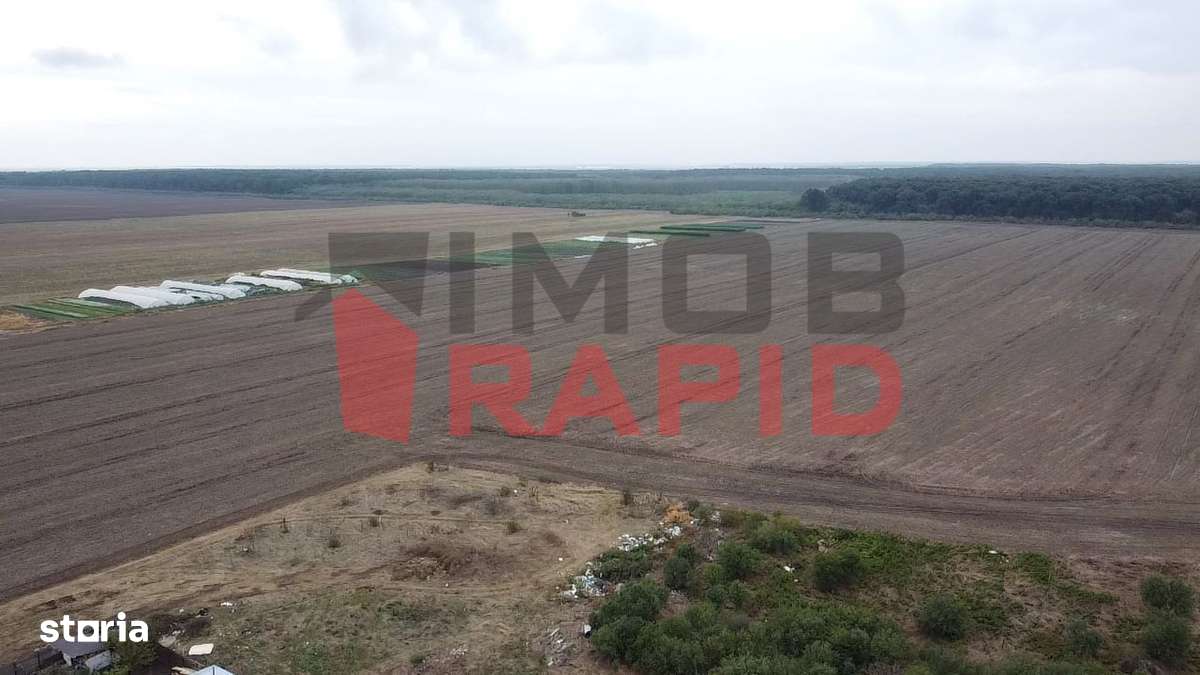 De vanzare 40.000 mp teren extravilan, arabil în Piteasca jud. Ilfov - Imagine principală: 2/8