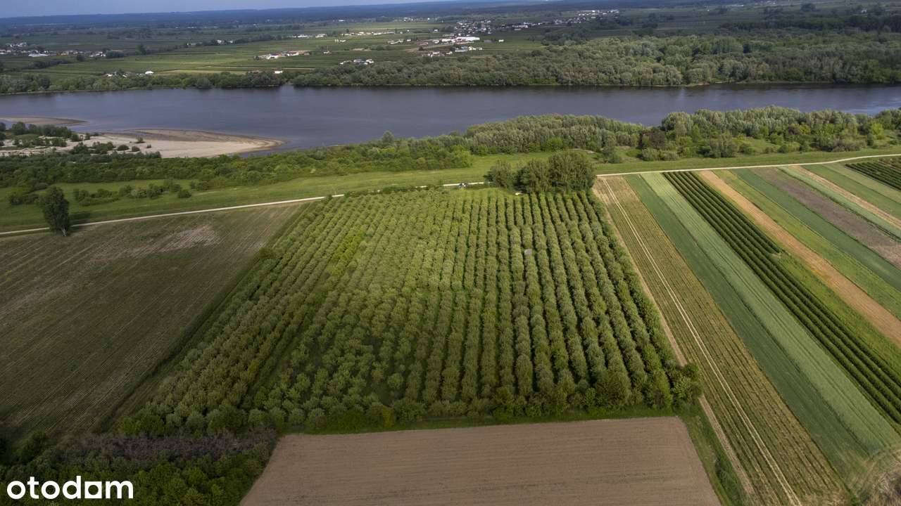 Na sprzedaż działka gruntowa 4,7424 HA - Kolonia Boiska-4