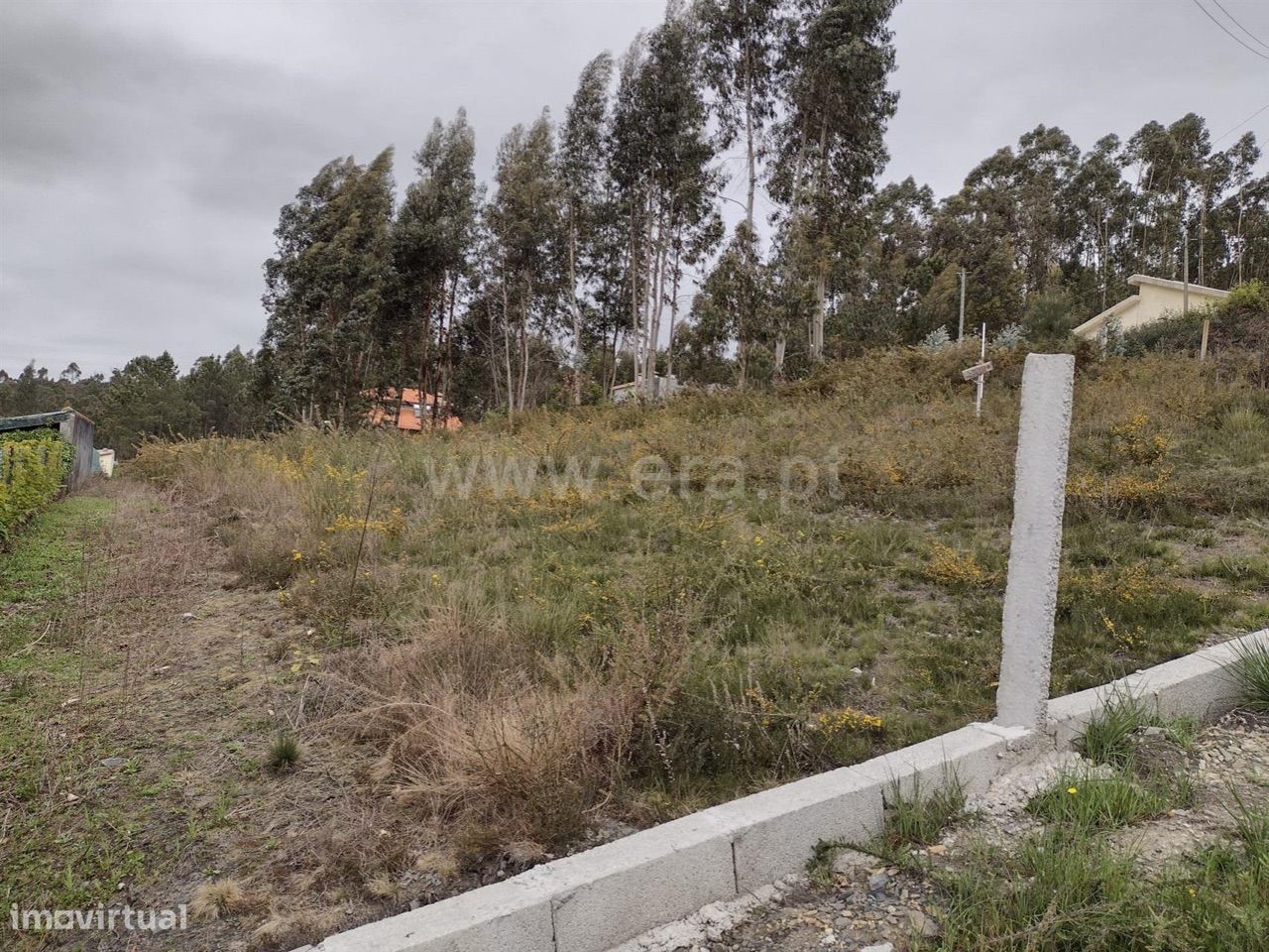 Terreno para construção na Sobreira - Paredes