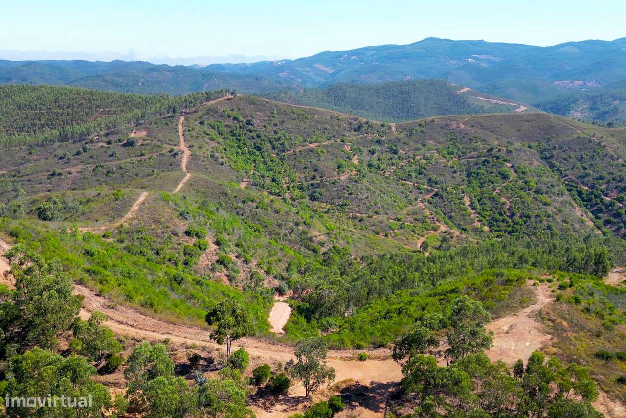 Terreno rustico oportunidade em Marmelete - Grande imagem: 4/17