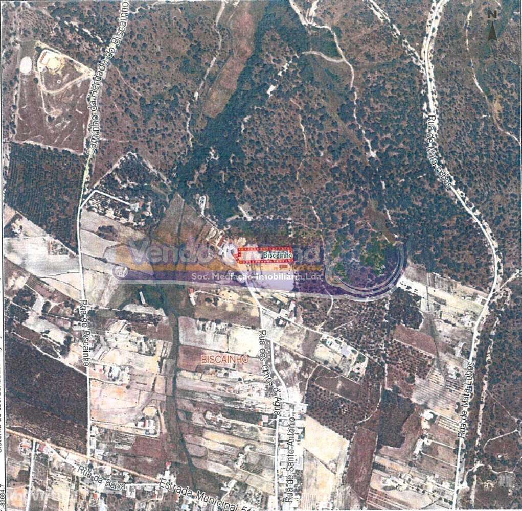 Terreno no Biscainho, Coruche (CRCH165) - Grande imagem: 5/5