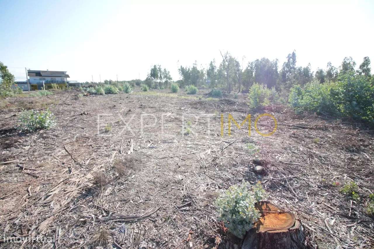 Terreno em Leiria com 75400 m2 para construção - Grande imagem: 5/5