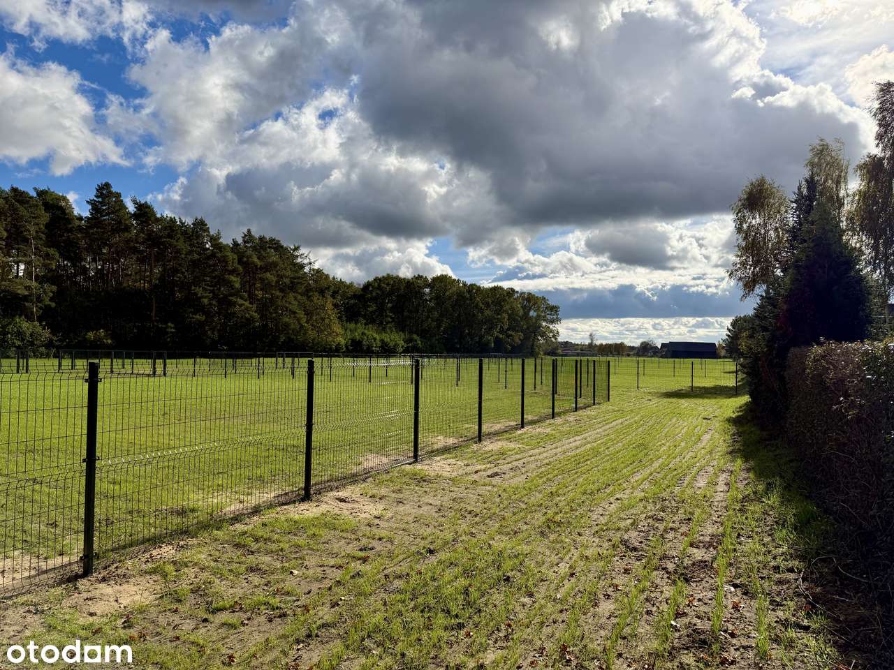 Działki przy jeziorze Lucieńskim i lesie państwowym-11