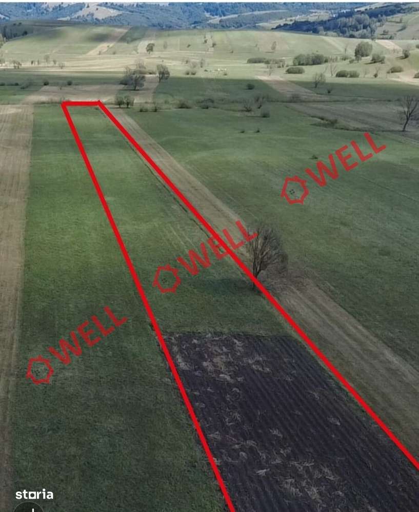 De vânzare teren extravilan loc. Sărămaș - Imagine principală: 3/3