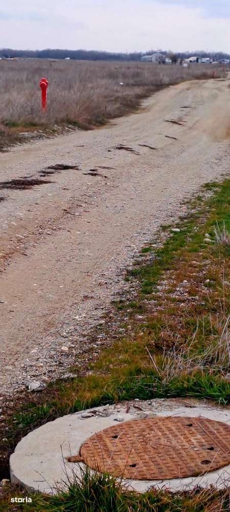 Intravilan Cârcea, 392 mp, pe lângă depozitul de legume-fructe - Imagine principală: 3/5