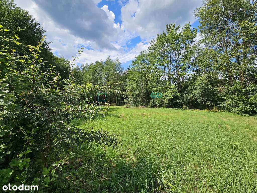 Duża działka budowlana pod Twój dom, wydane WZ - Pełny obrazek: 4/7