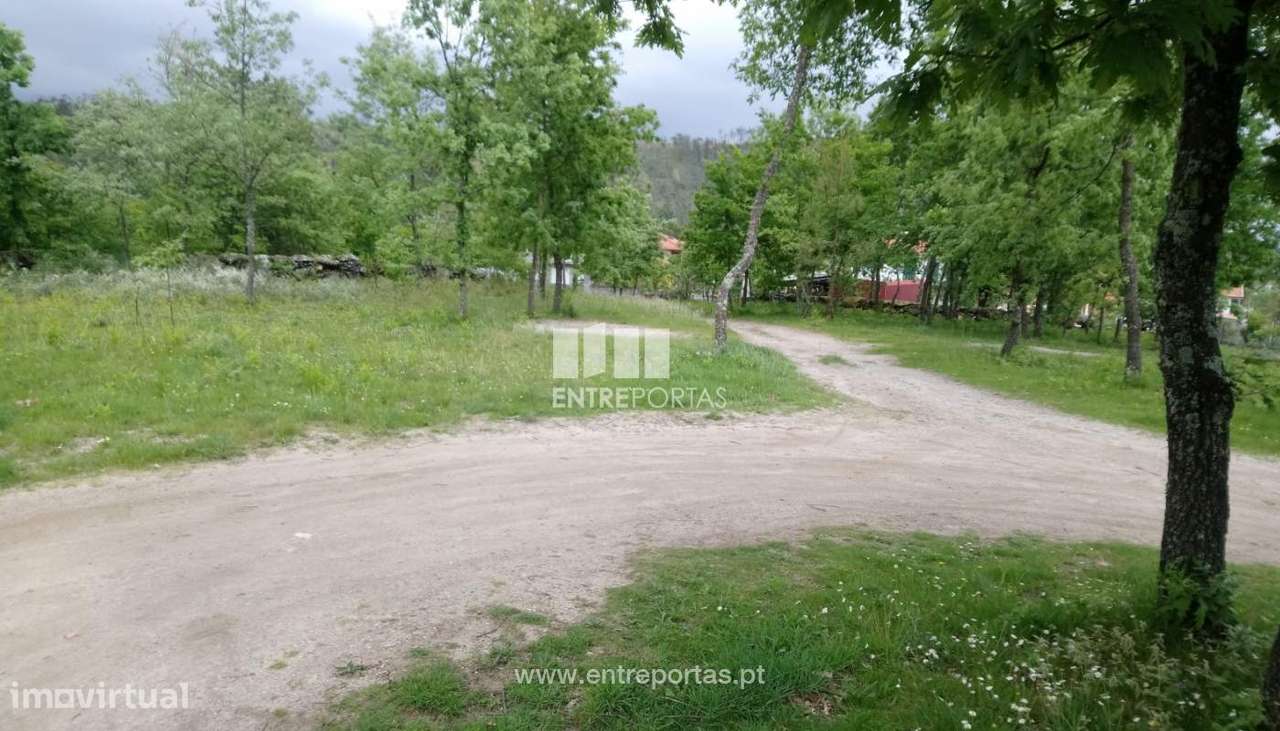 Venda Terreno, Gestaçô, Baião - Grande imagem: 5/6