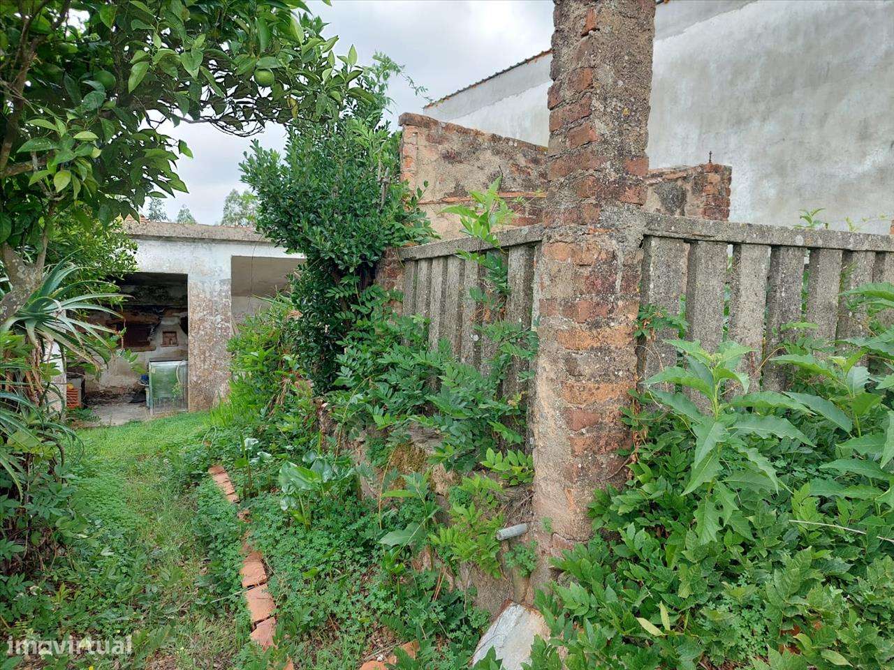 Ruína em Limeiras - Praia do Ribatejo - Grande imagem: 4/14