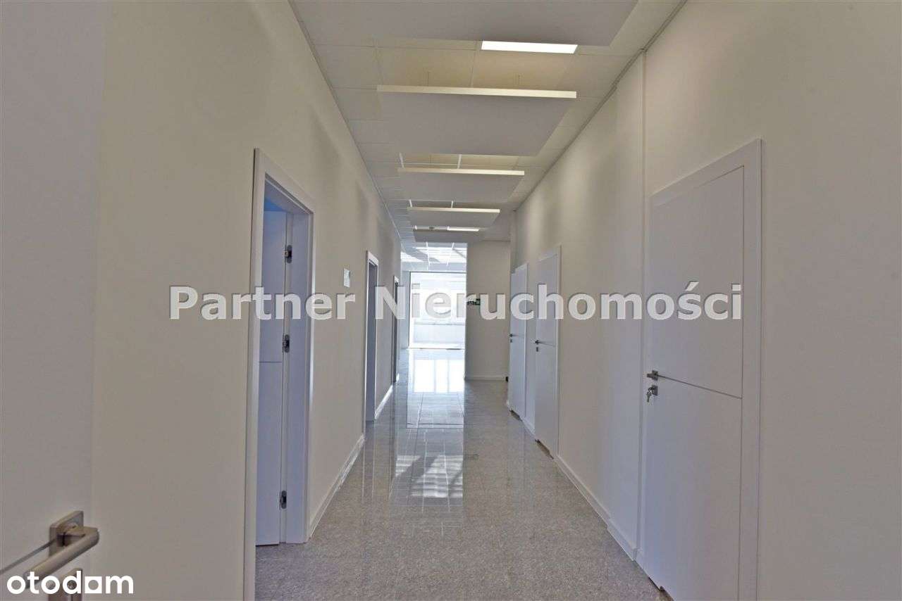 Biurowiec !!!! Parking!!! 850M!!! - Pełny obrazek: 5/15