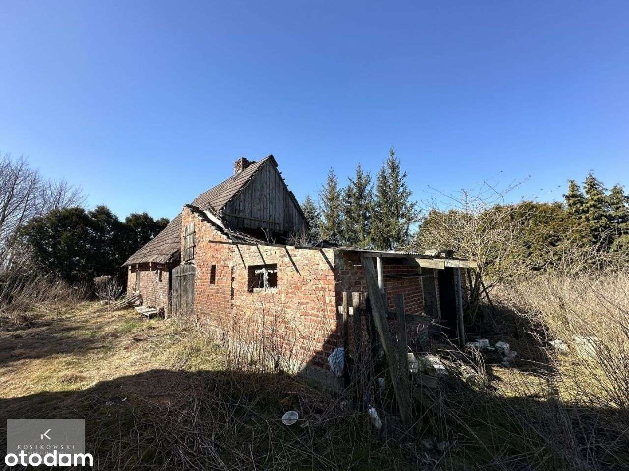 Dom z polem na sprzedaż, ponad 3 ha, Gręboszów - Pełny obrazek: 4/10