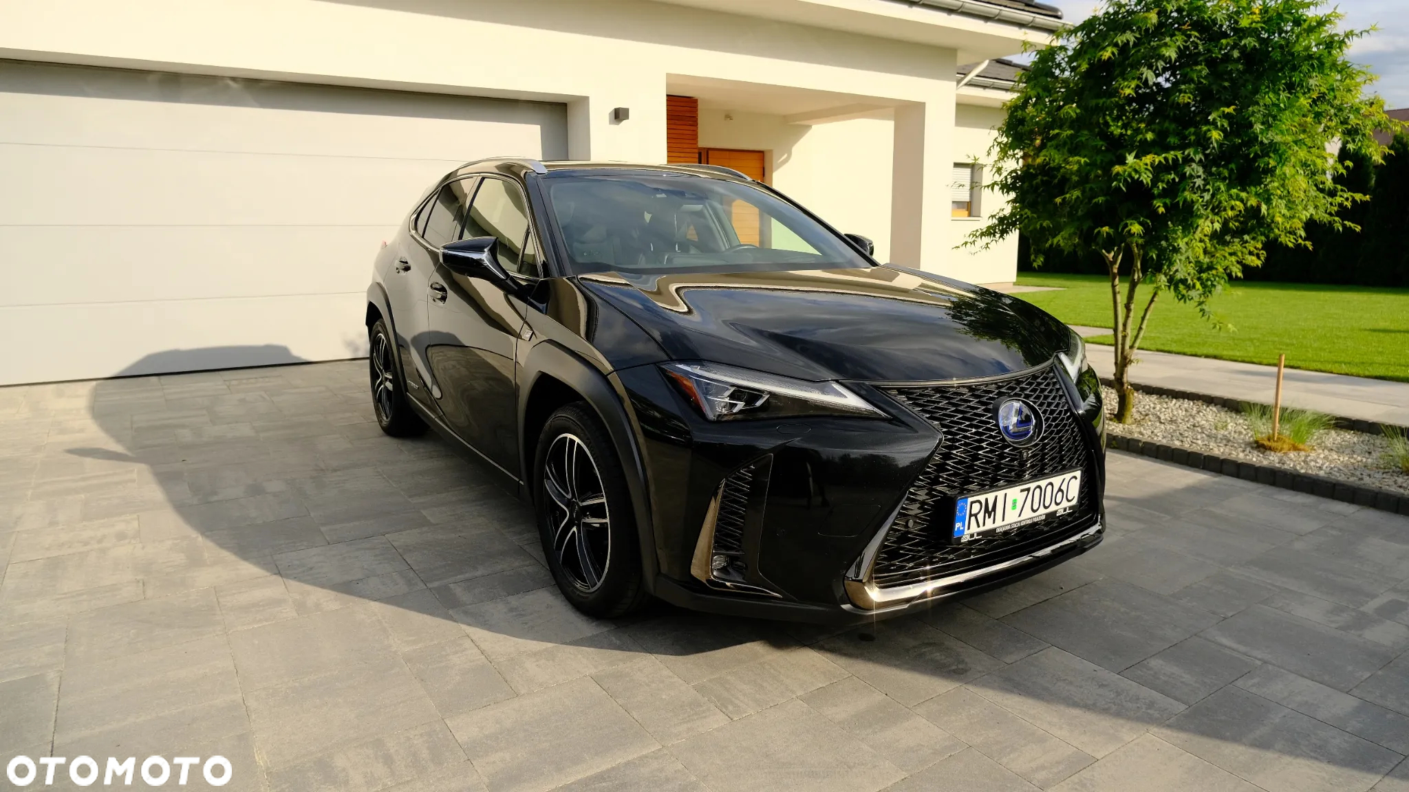 Lexus UX 250h F SPORT - 5