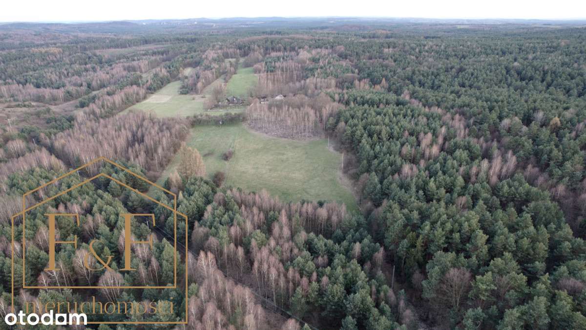 ** Działka pod zabudowę w samym sercu lasu **-6