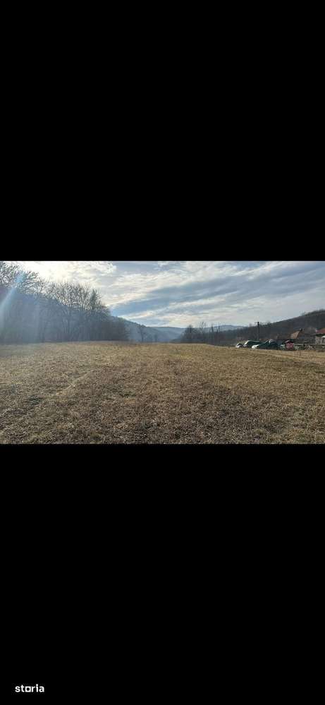 Teren la Mihaiesti , gaz , apa , curent-2