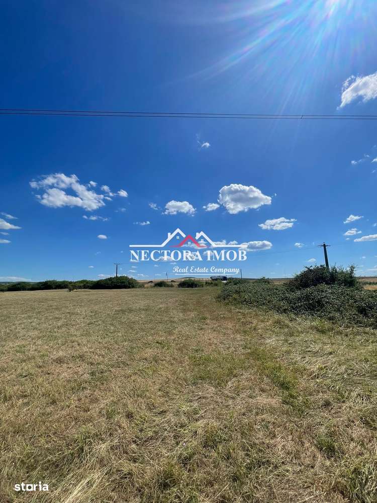 NECTORA IMOB-Teren Zona Osorhei, 5500 mp, 21 ml Front, 210 ml adancime - Imagine principală: 2/8