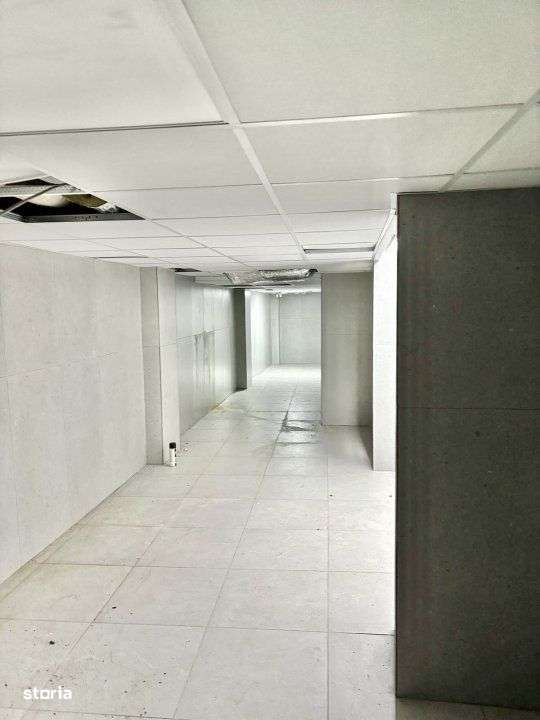 De Inchiriat Spatiu Productie, Depozitare - Piata Victoriei - Imagine principală: 5/10