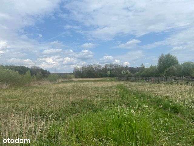 Działka rolno - budowlana DOBRZYNIEC - Pełny obrazek: 5/5