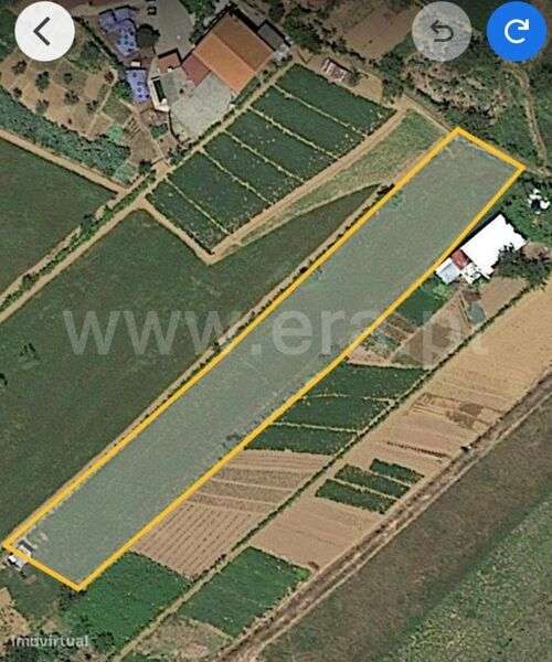 Terreno Rústico / Seia, Seia, São Romão e Lapa dos Dinheiros - Grande imagem: 5/5