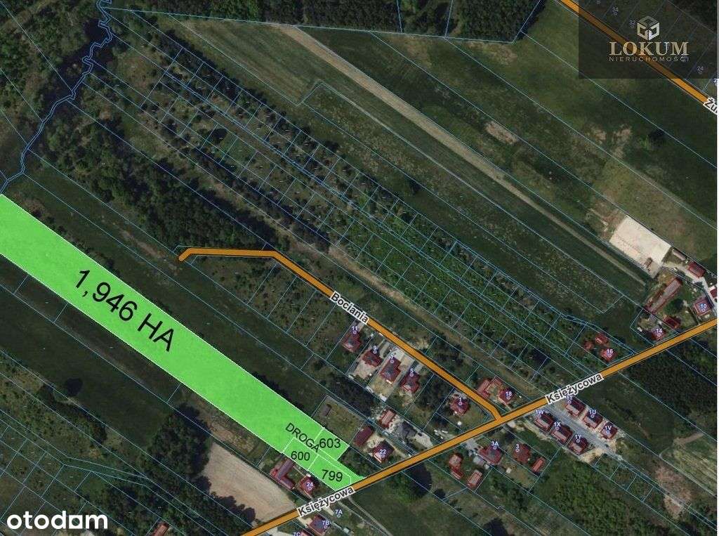 Inwestycja O Pow. 2,1909 Ha W Aleksandrii !!! - Pełny obrazek: 5/6