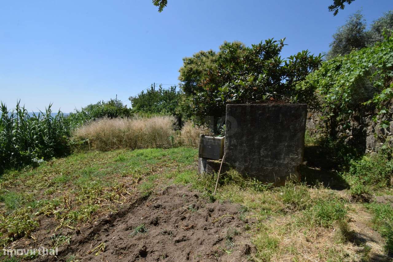 Terreno com 4.522 m² e Viabilidade de Construção - Vila do Carvalho-22