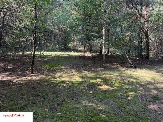 Siestrzeń, 10 000m,do podziału na 6 działek,z Mpzp-5