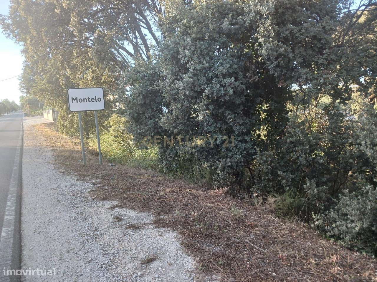 Terreno à Venda em Montelo, Fátima - Grande imagem: 4/9