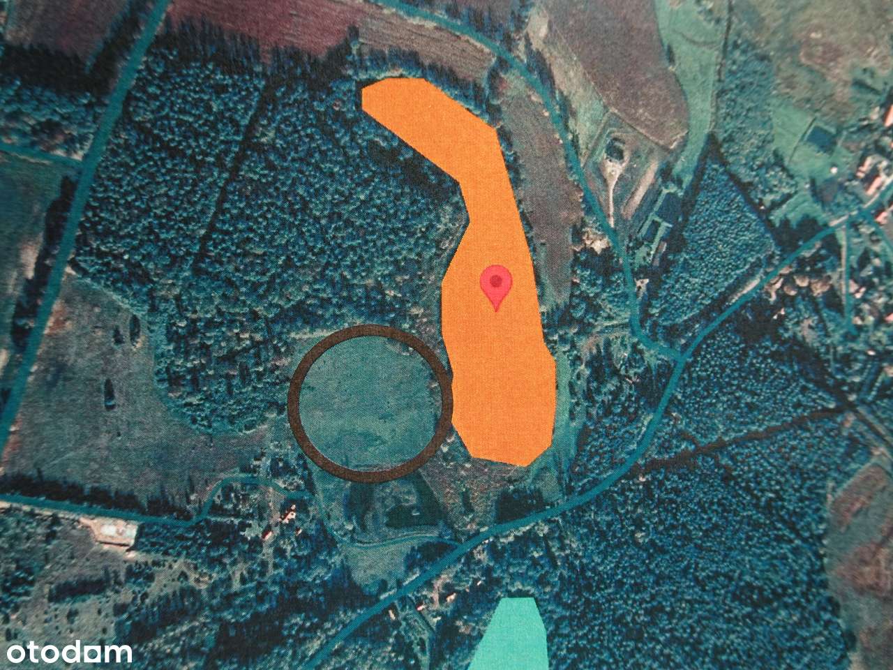 Działka z linią brzegową jeziora Myśliwskiego - Komorowo gmina Łukta - Pełny obrazek: 4/11