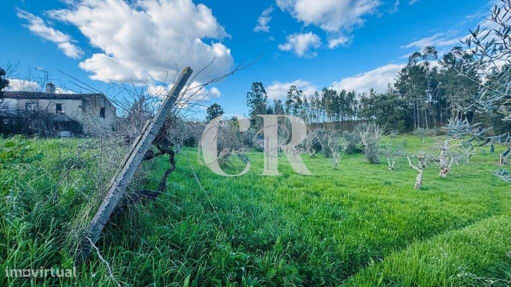 Quinta com casas de pedra para recuperar, poço e furo-35