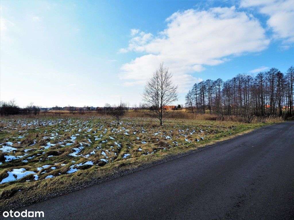 Dostępna od zaraz! Działka w malowniczym miejscu! - Pełny obrazek: 4/9