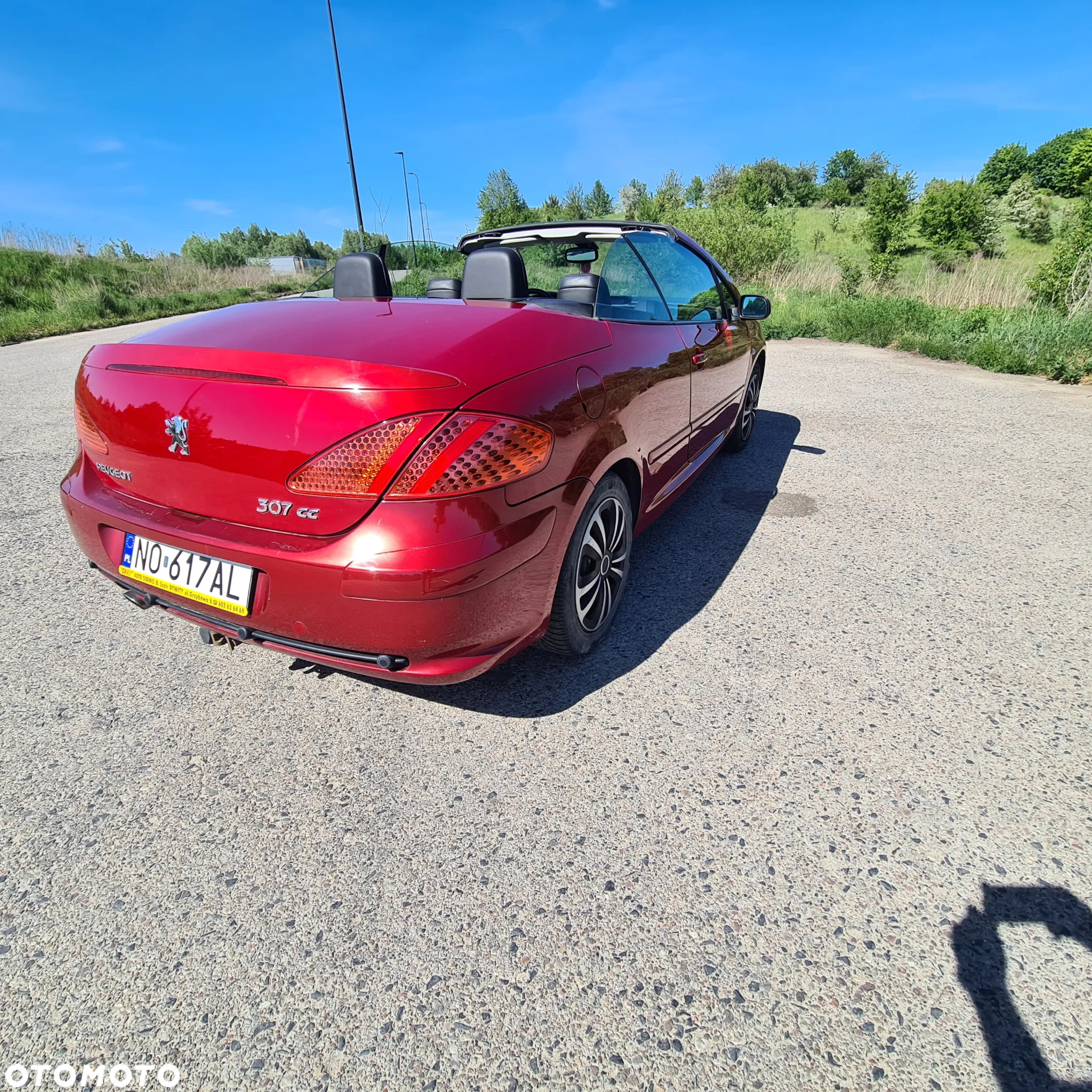 Peugeot 307 CC 2.0 - 8