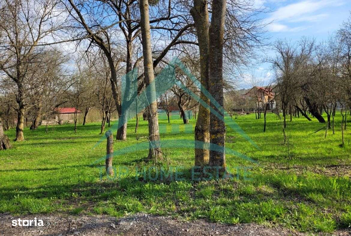 EXCLUSIVITATE! Teren intravilan de vanzare, zona linistita, sat Vlaha! - Imagine principală: 5/12