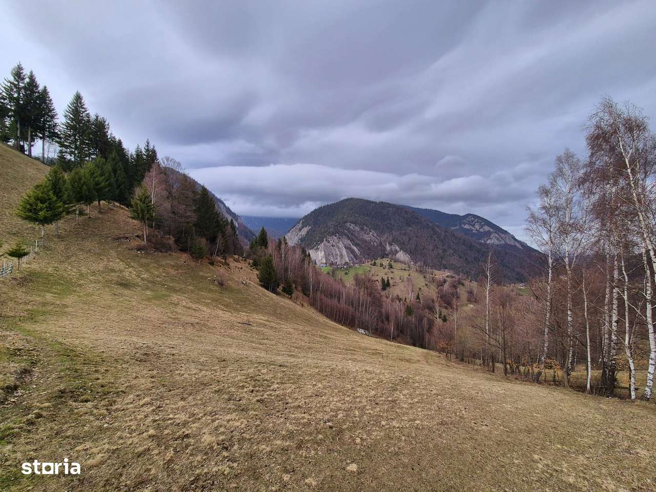 Teren cu energie speciala zona Pestera/Moeciu Brasov, 13.570mp-6