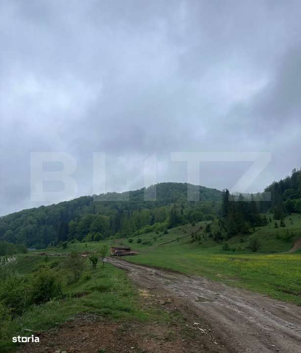 Teren intravilan 20.000 mp, zona Soarecului, Marginea - Imagine principală: 1/3