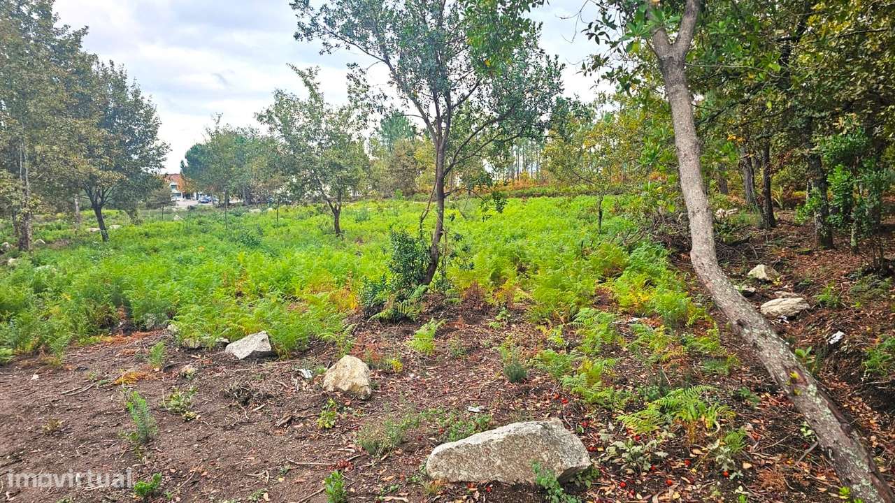 Terreno Rústico  Venda em Rio de Loba,Viseu - Grande imagem: 5/6