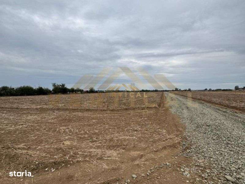 Teren Intravilan 500 mp, Vidra, ideal investitie - Imagine principală: 5/5