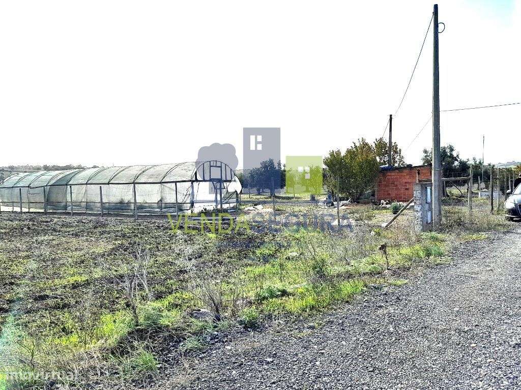 Terreno Rústico | Beringel | Beja - Grande imagem: 5/16