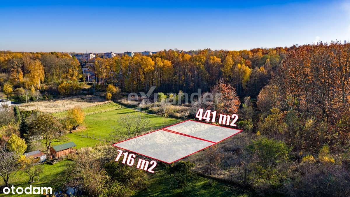 ul.. Jaśminowa/Brzozowa-granica Mikołowa i ŁaziskG - Pełny obrazek: 5/19