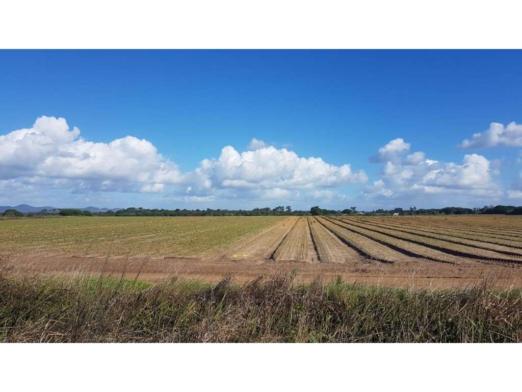 Terreno Almograve - Grande imagem: 3/3