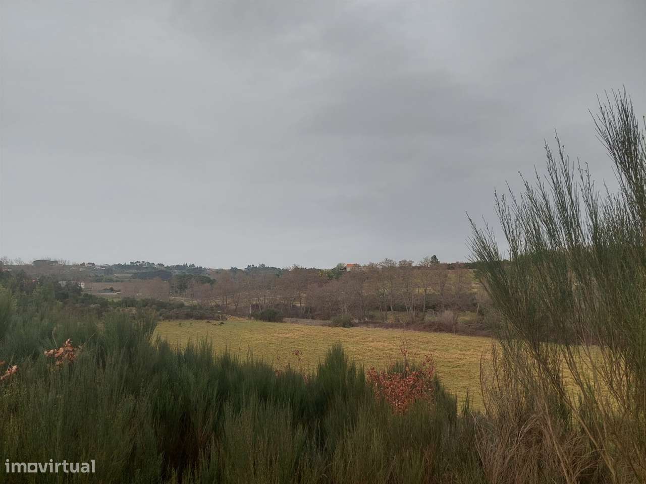 Quinta  Venda em Rio Torto e Lagarinhos,Gouveia - Grande imagem: 5/12
