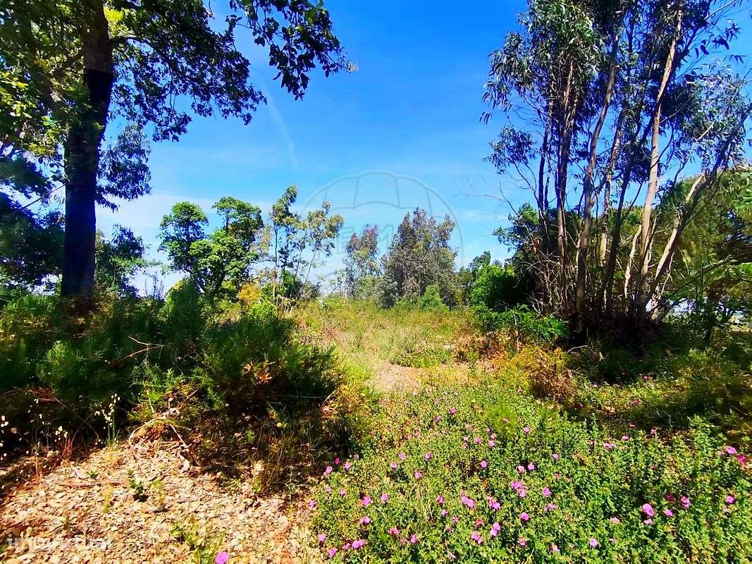 Terreno  para venda - Grande imagem: 4/12